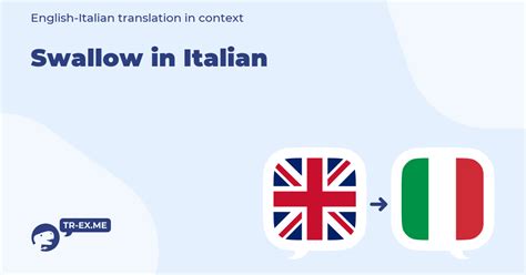 swallow traduzione|swallow definition in italian.